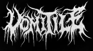 Vomitile