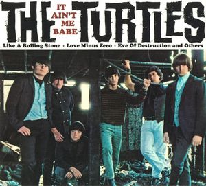 The Turtles