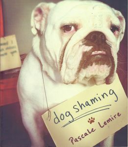 Dog Shaming