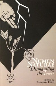 Numen Naturae: Dismantling the Tower