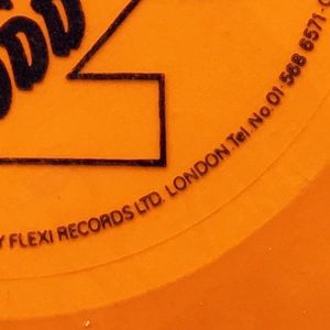 Flexi Records Ltd