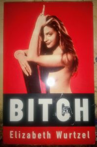 Bitch