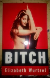 Bitch