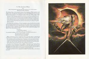 The Paintings of William Blake