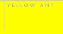 Yellow Ant