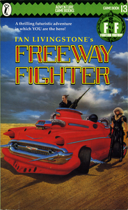Freeway Fighter