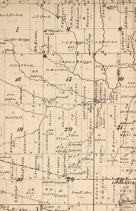 Footpaths to Freeways (The Story of Livonia)
