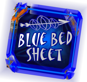 Blue Bed Sheet Books