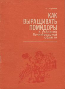 Как Выращивать Помидоры В Условиях Ленинградской Области