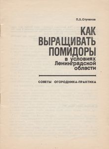 Как Выращивать Помидоры В Условиях Ленинградской Области