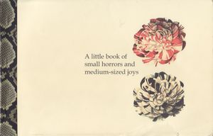 A Little Book of Small Horrors and Medium-sized Joys