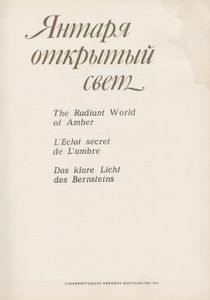 Янтаря Открытый Свет