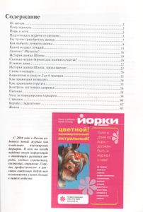 Йоркширский Терьер. Содержание И Уход