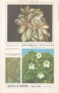 Наука И Жизнь 1983 № 3
