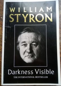 Darkness Visible