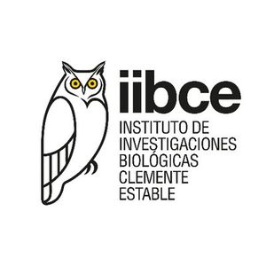 iibce