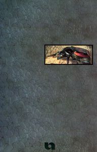 The Carrion Beetles (Coleoptera: Silphidae) Of Nebraska
