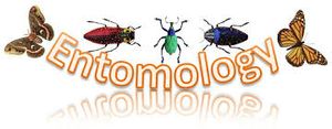 Entomology