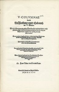 V Columnae или описание и применение пяти ордеров