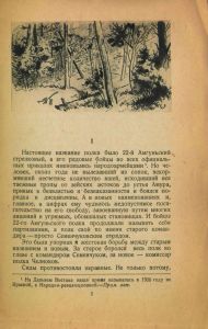 Амгуньский полк