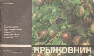 Крыжовник