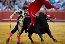 Bullfighting