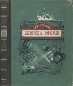 Жизнь Моря
