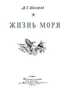 Жизнь Моря