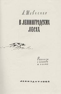 В Ленинградских Лесах