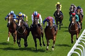 Horse Racing