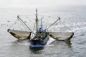 Fishing