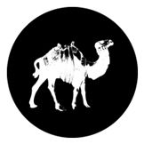 Design by Committee