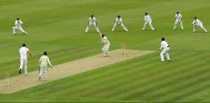 Cricket