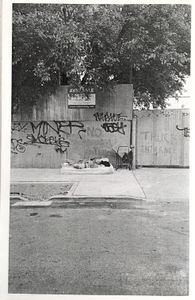 Koinstars 4