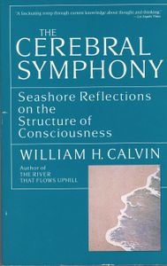 The Cerebral Symphony