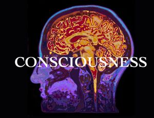 Consciousness