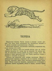 Мои знакомые