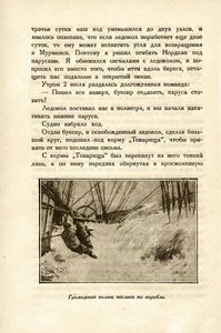 20.000 миль под парусами