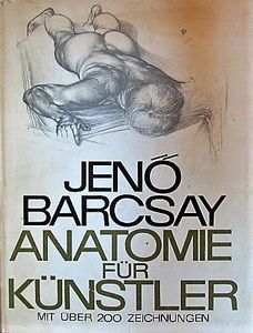 Anatomie Für Künstler