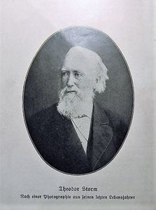 Der Schimmelreiter