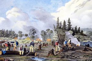 Canadian Pioneers
