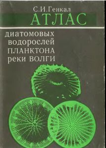 Атлас Диатомовых Водорослей Планктона Реки Волга