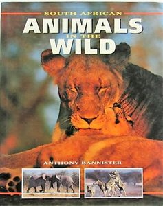 South African Animals in the Wild
