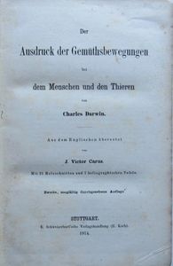 Ausdruck Der Gemütsbewegungen