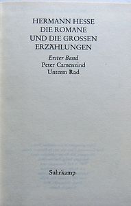 Peter Camenzind/Unterm Rad