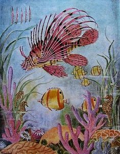 The Sea Fishes of Southern  Africa