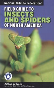 Field Guide to Insects and Spiders of North America