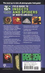 Field Guide to Insects and Spiders of North America