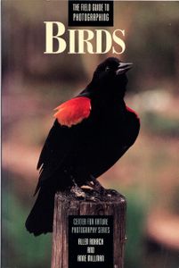 The Field Guide to Photographing Birds
