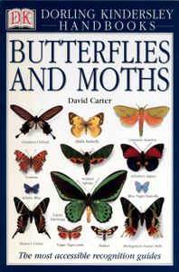Butterflies and Moths